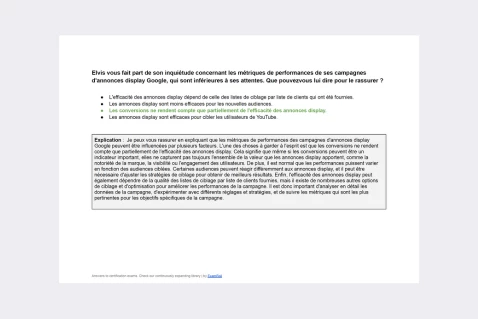 Certification professionnelle Google Ads pour le Réseau Display