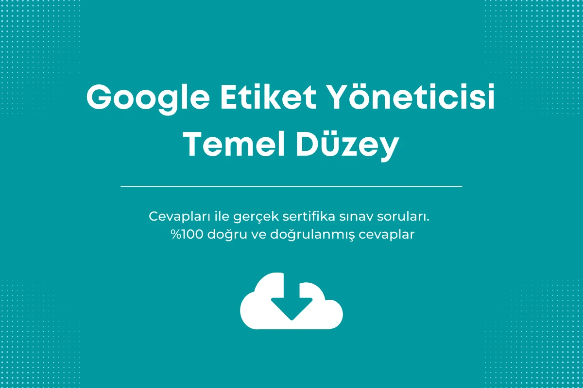 Google Etiket Yöneticisi sınav cevapları